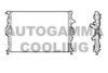 AUTOGAMMA 107318 Radiator, engine cooling